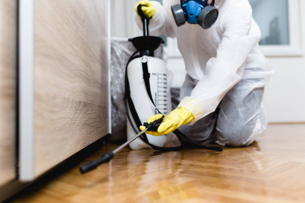 Best Pest Control for Businesses  in Hickory Hls, IL