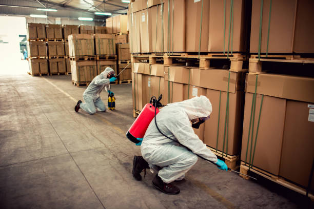 Best Mosquito Control Services  in Hickory Hls, IL