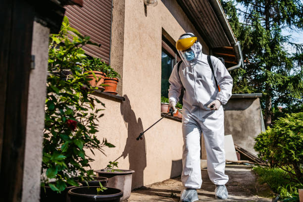 Best Termite Control Services  in Hickory Hls, IL