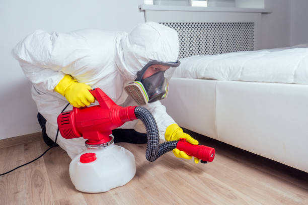 Best Bed Bug Extermination  in Hickory Hls, IL