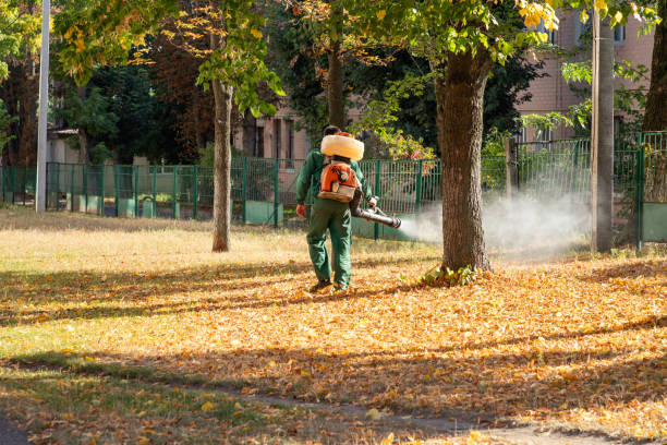Best Residential Pest Control  in Hickory Hls, IL