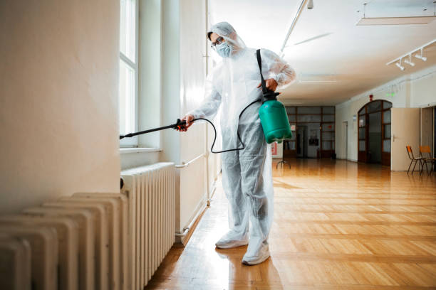 Trusted Hickory Hills, IL Pest Control Experts