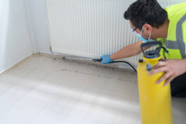Pest Prevention Services in Hickory Hills, IL